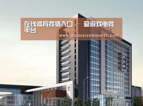 爱游戏娱乐案例展示四