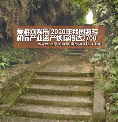 爱游戏娱乐|2020年我国数控机床产业资产规模将达2700亿元(图3) 爱游戏登录