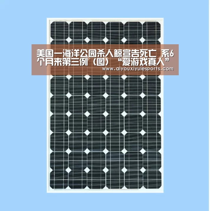美国一海洋公园杀人鲸宣告死亡 系6个月来第三例(图)“爱游戏真人”(图1) 爱游戏竞猜