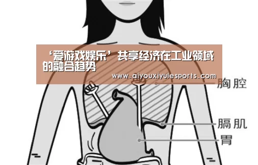 爱游戏登录