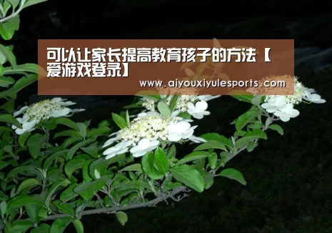 爱游戏真人